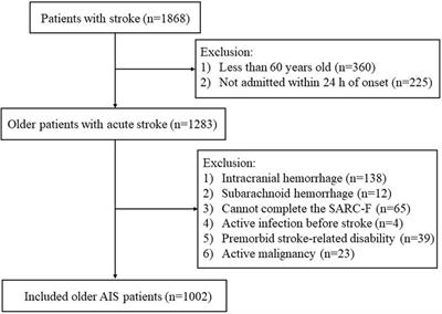 Association between pre-stroke sarcopenia risk and stroke-associated infection in older people with acute ischemic stroke